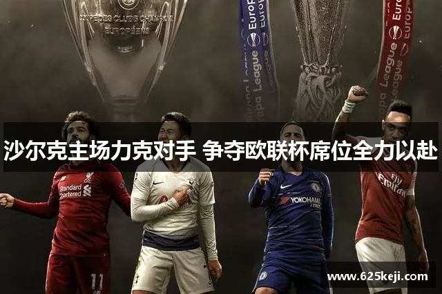 沙尔克主场力克对手 争夺欧联杯席位全力以赴