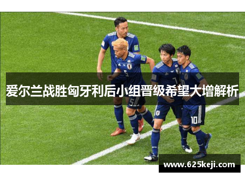 爱尔兰战胜匈牙利后小组晋级希望大增解析