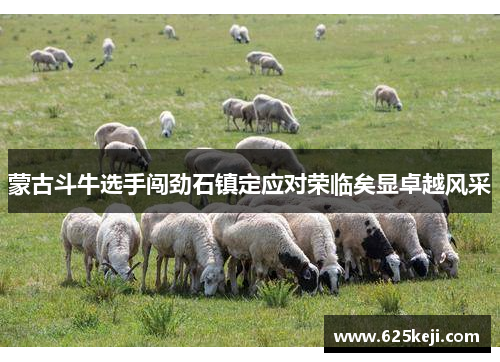 蒙古斗牛选手闯劲石镇定应对荣临矣显卓越风采