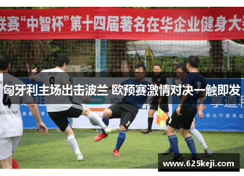 匈牙利主场出击波兰 欧预赛激情对决一触即发