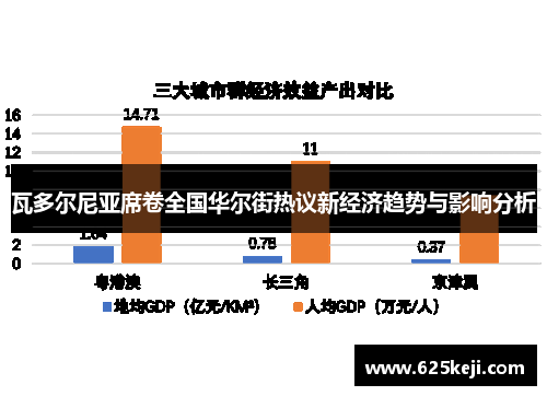 瓦多尔尼亚席卷全国华尔街热议新经济趋势与影响分析