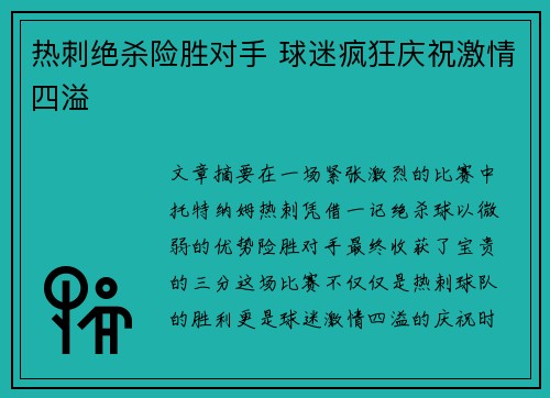 热刺绝杀险胜对手 球迷疯狂庆祝激情四溢